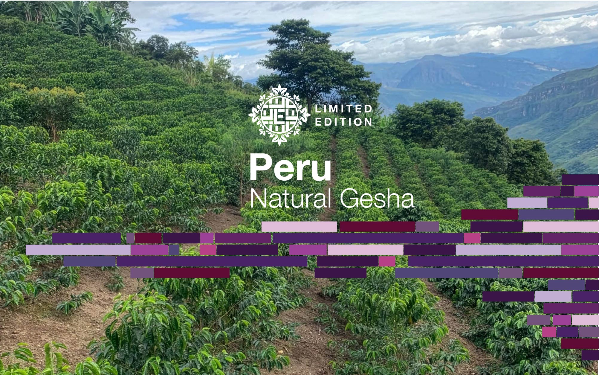 Roasting Great Coffee, Doing Good